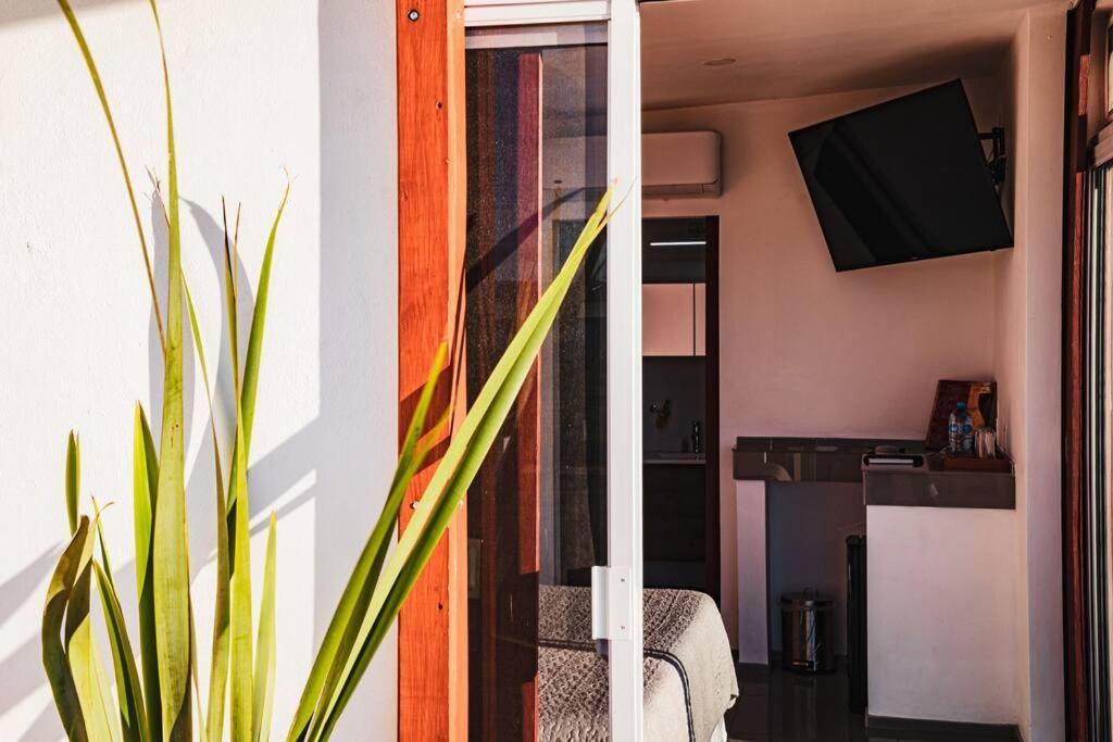 Cabana El Alamo Con Jacuzzi Villa Valle de Guadalupe Dış mekan fotoğraf