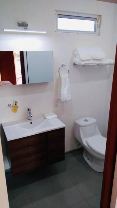 Cabana El Alamo Con Jacuzzi Villa Valle de Guadalupe Dış mekan fotoğraf